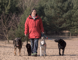 hundrum-gluecklicher.de