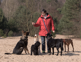 hundrum-gluecklicher.de