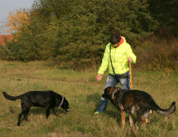 hundrum-gluecklicher.de